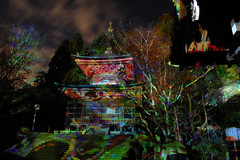 デジタルカケジク in 法輪寺