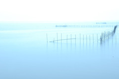 雨に揺れる琵琶湖