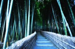 竹の路