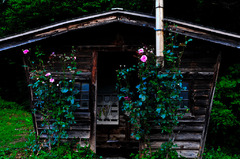 小屋
