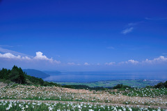 青い空と琵琶湖