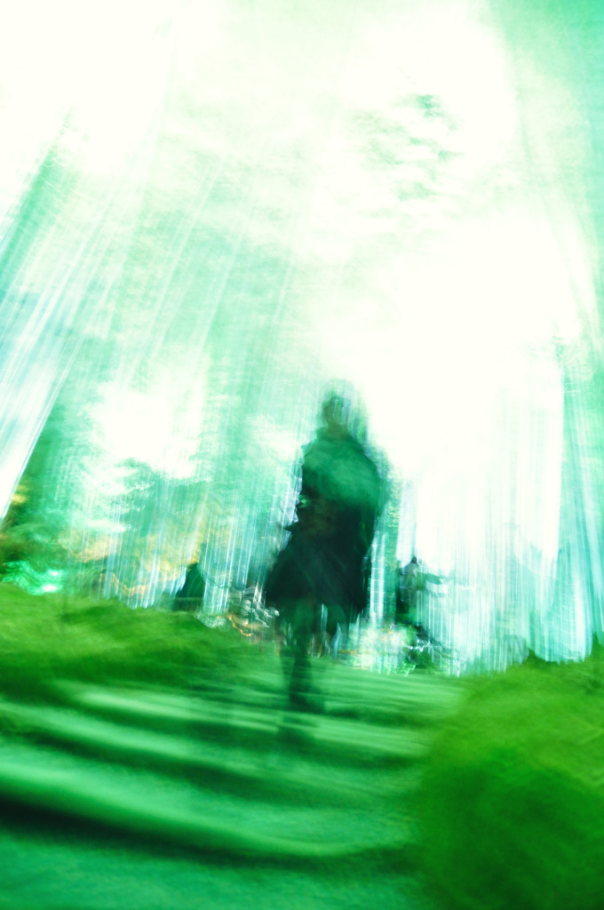 竹林の中に見た幻