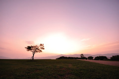 いつもの夕焼け