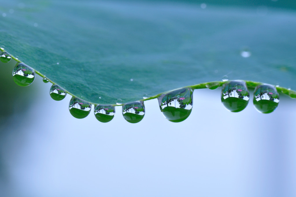 水玉の中