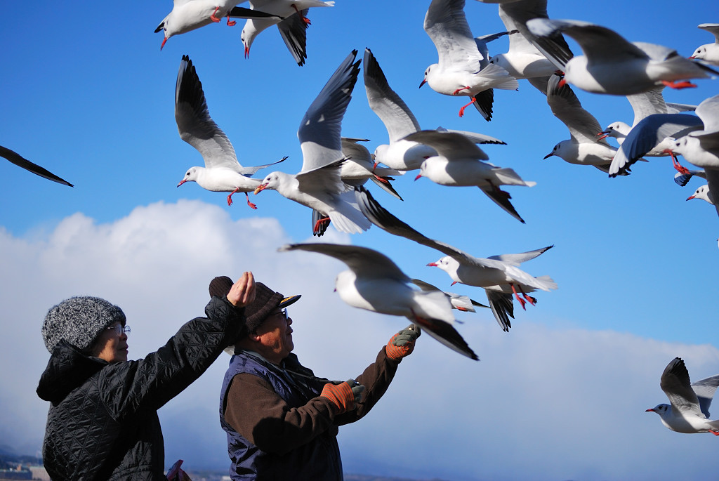 鳥の狙いは･･･。