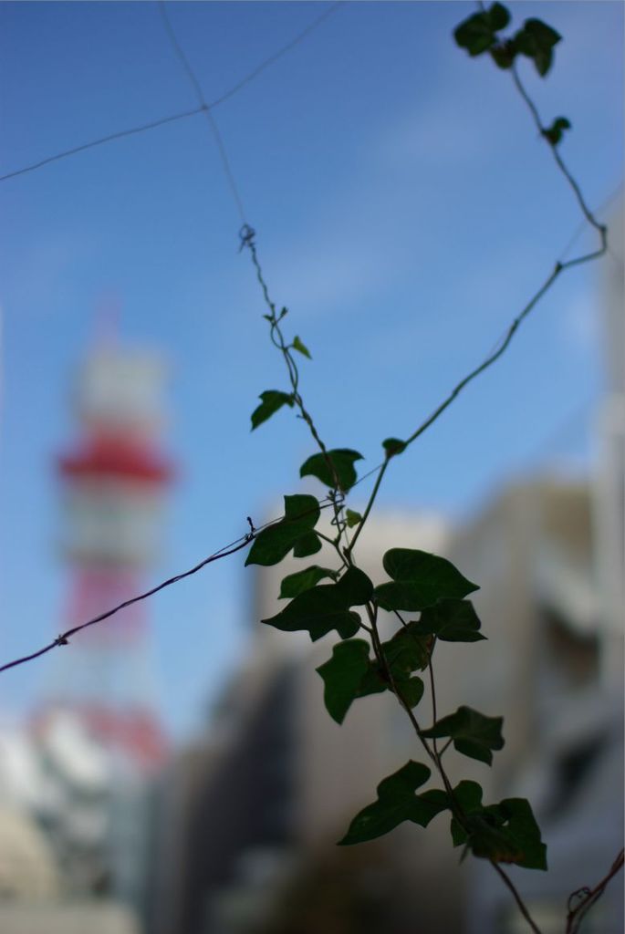 その先は青空