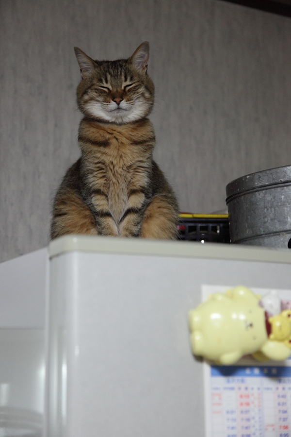 冬の定位置