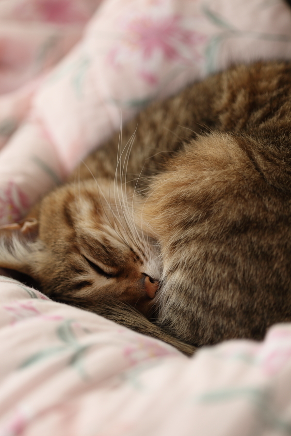 Please don't disturb.