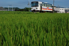 紀州鉄道の夏②