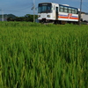 紀州鉄道の夏②