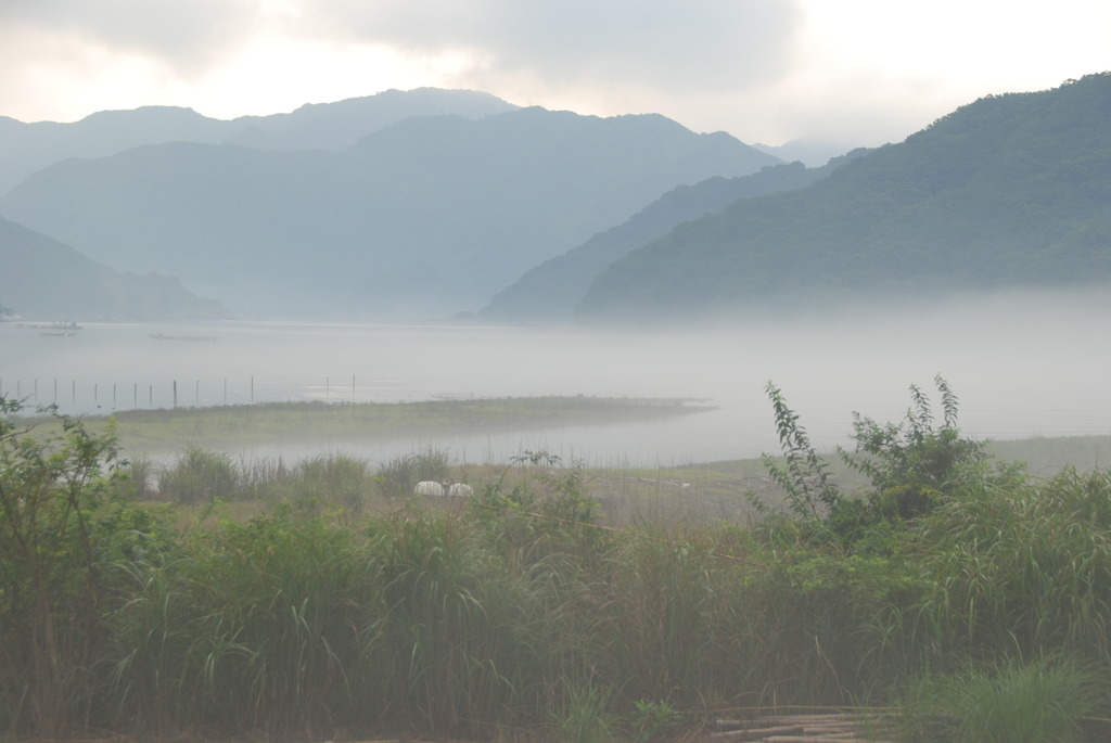 朝靄