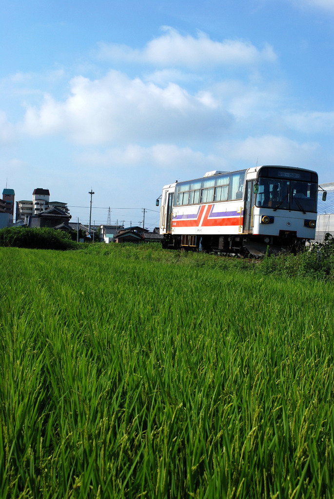 紀州鉄道の夏