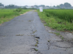 道