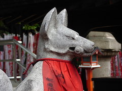 ＦＯＸＹＰＨＯＴＯ