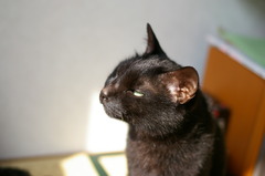 IMGP1764