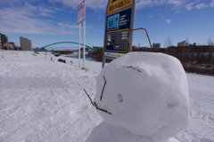 緊急道路守護者