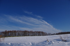 雪原