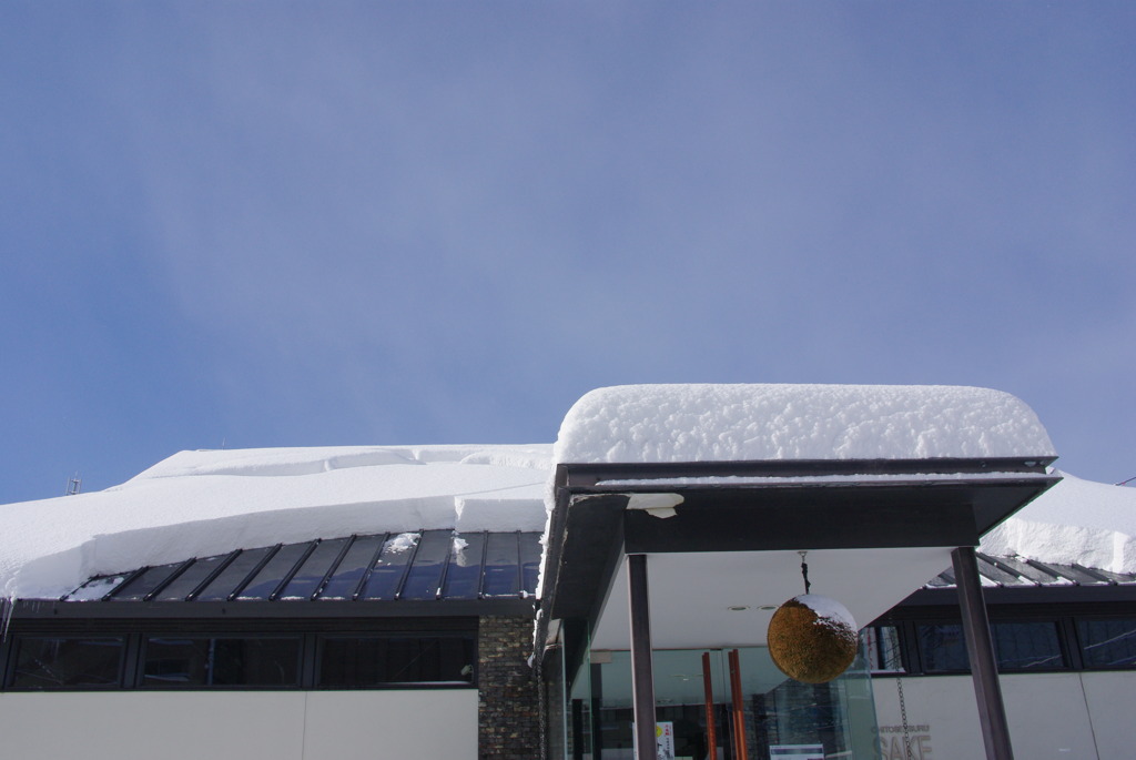 一晩の雪の厚さ