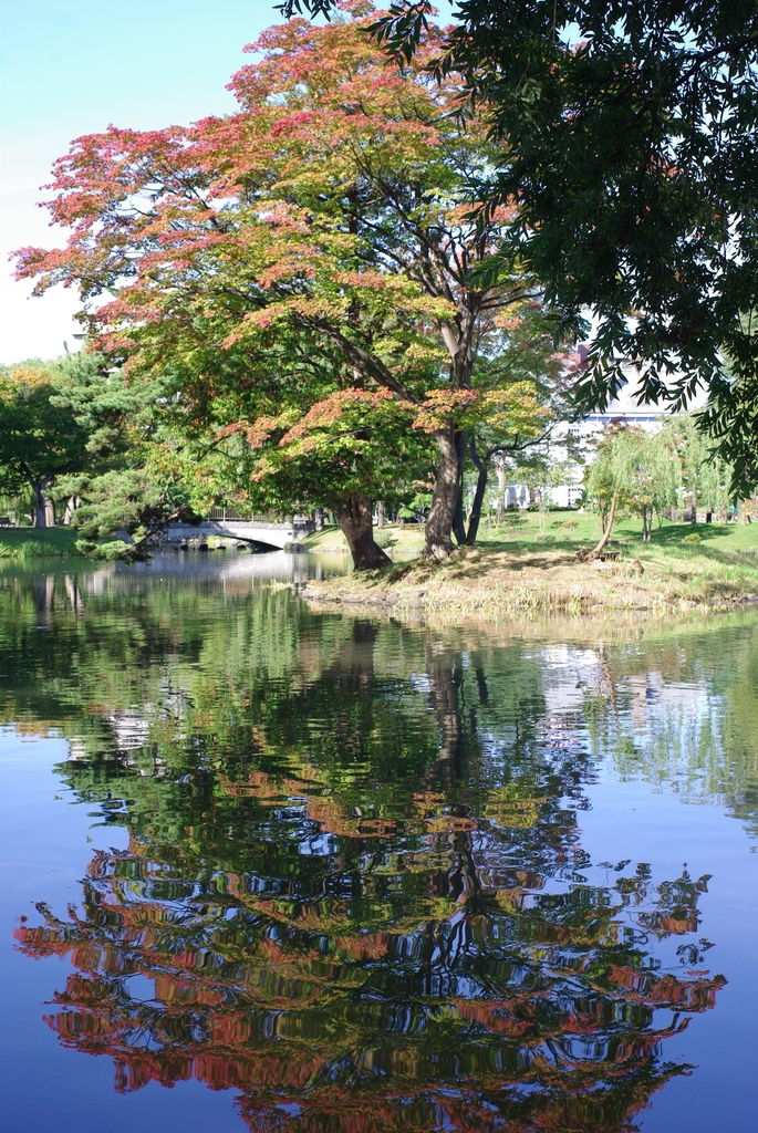 紅葉鏡