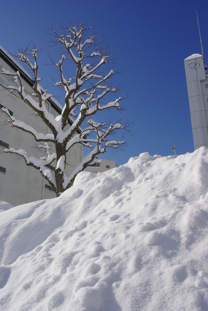 積雪と青空