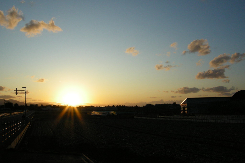 玉葱畑の夕日