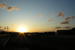 玉葱畑の夕日