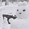 雪だるま一家