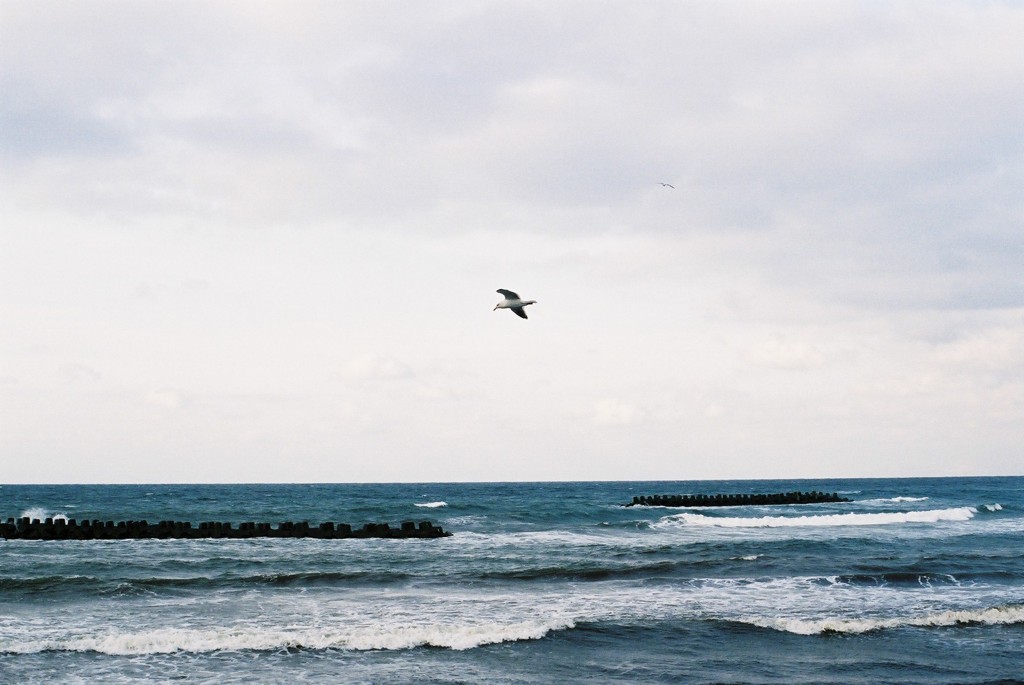 フィルムで海