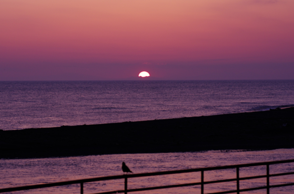 カモメと夕日を眺めてた