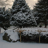 雪の合間の夕日