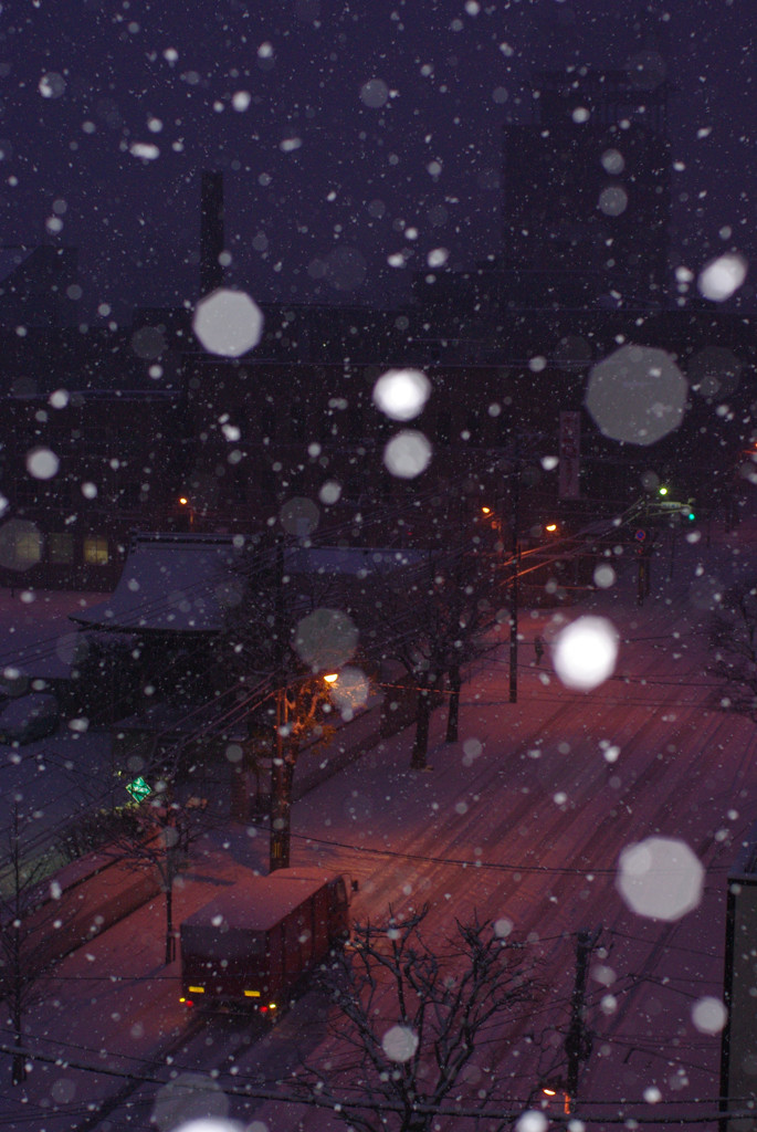 雪の朝