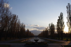 前田森林公園