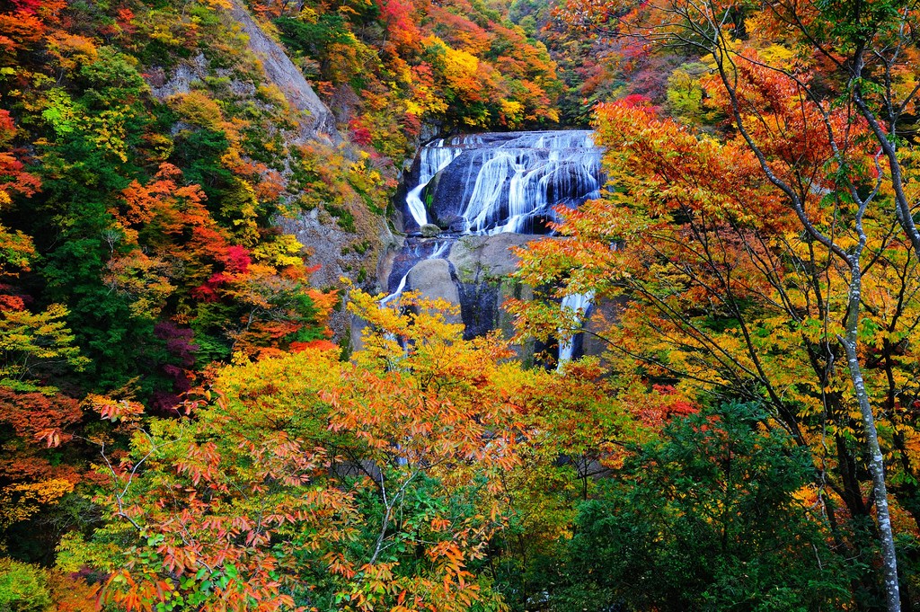 袋田の紅葉
