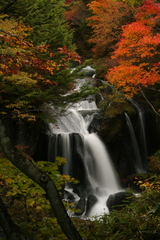 竜頭の滝の紅葉