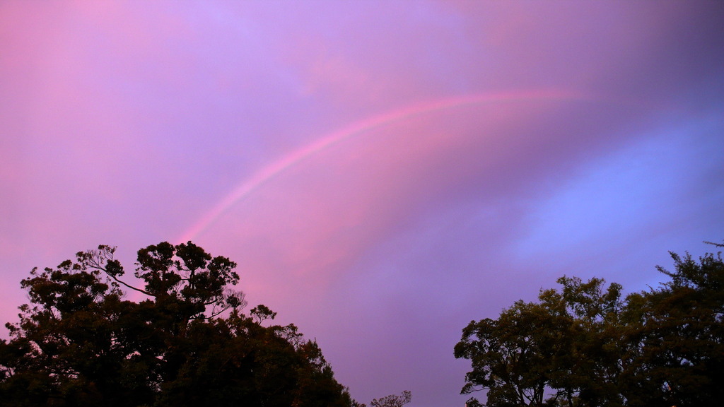 夕日に浮かぶ虹