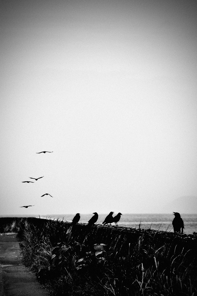 karasu