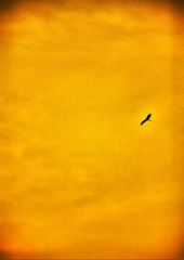 golden-sky