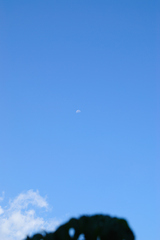 daylight