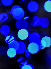 Blue nine