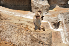 jump