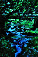 nagare
