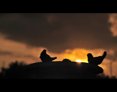 life is beautiful