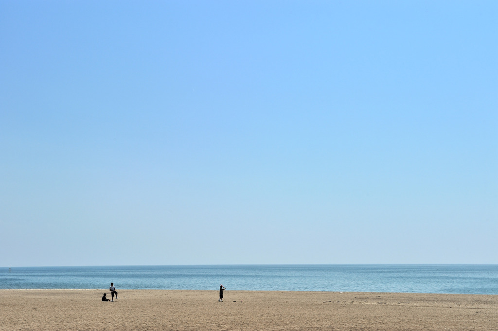 浜野球