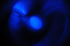 Ｂｌｕe egg