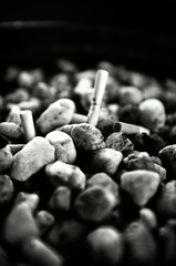 Rocks