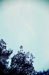 Leaf colored Blue