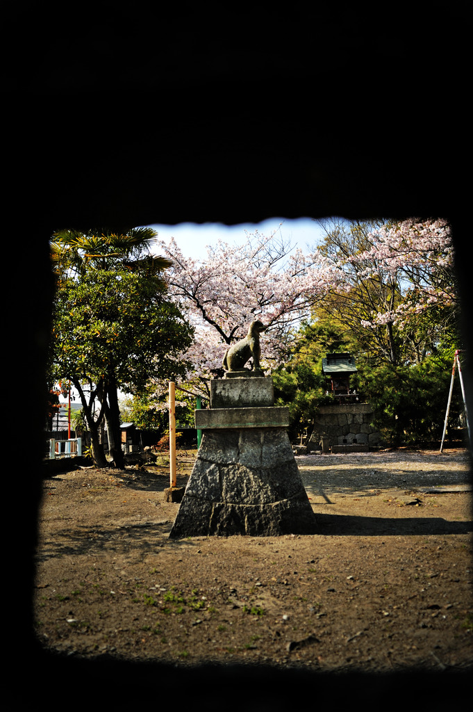 nozoakimado