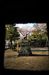 nozoakimado