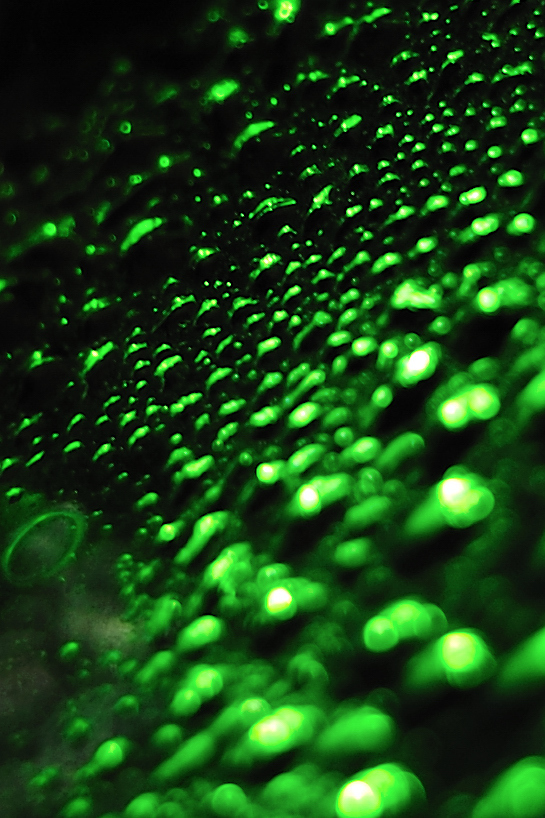 Green destiny