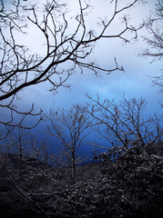 yukisora-ao